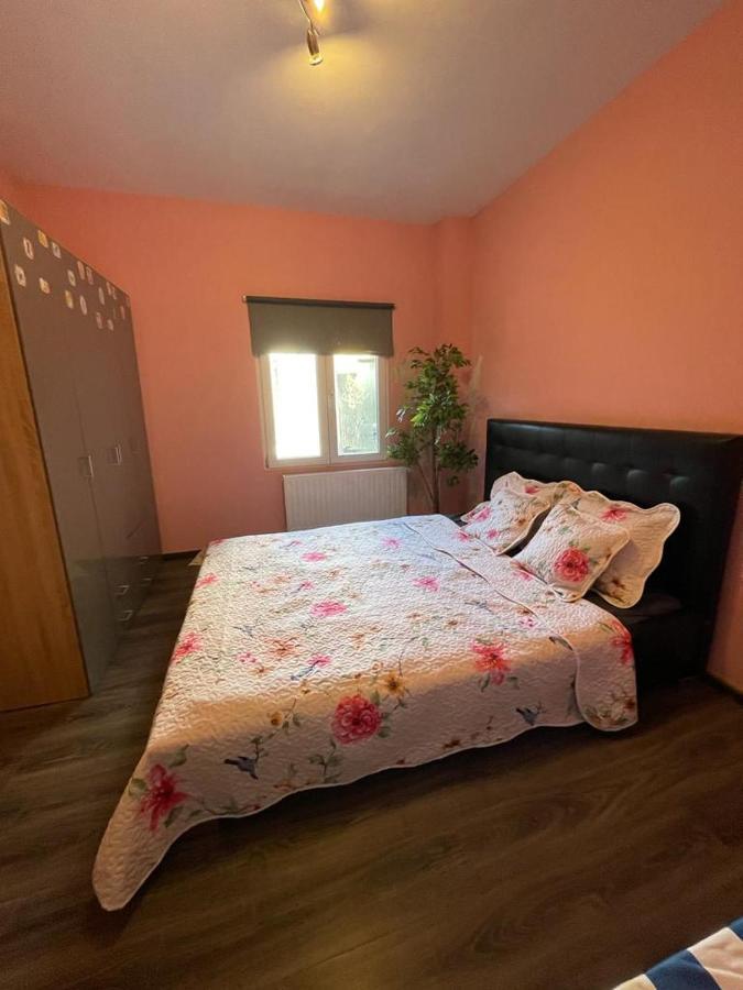 אנטוורפן Right Choice Room מראה חיצוני תמונה
